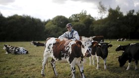 Na atmosférický dopad chovu dobytka často upozorňují i vegani.