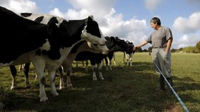 Na atmosférický dopad chovu dobytka často upozorňují i vegani.