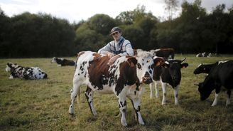 V Evropské unii zanikly miliony farem. Reforma má malým zemědělcům pomoci