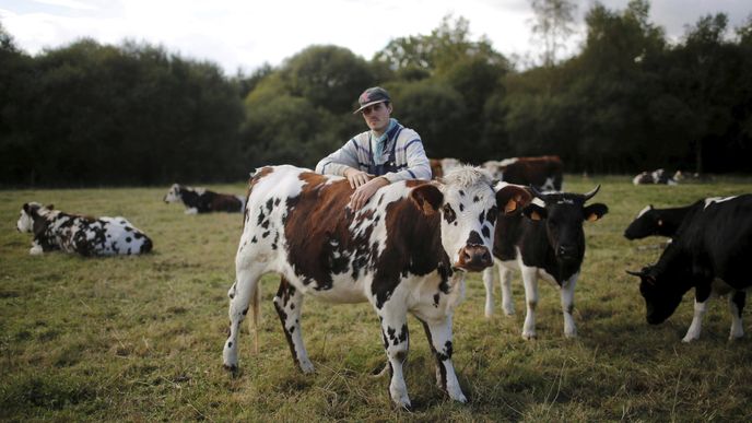 Farmy v EU mizí rychlým tempem, ilustrační foto