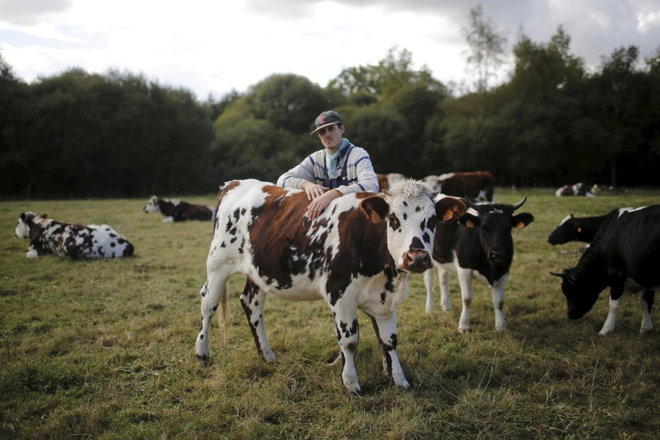 Farmy v EU mizí rychlým tempem, ilustrační foto