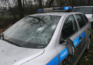 Kráva policistům rozbila přední sklo jejich vozu