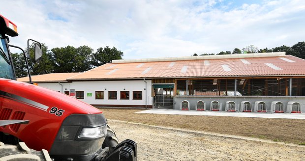 Na školním statku Horšov na Domažlicku mají nejmodernější kravín u nás. Krávy podojí i podrbe...