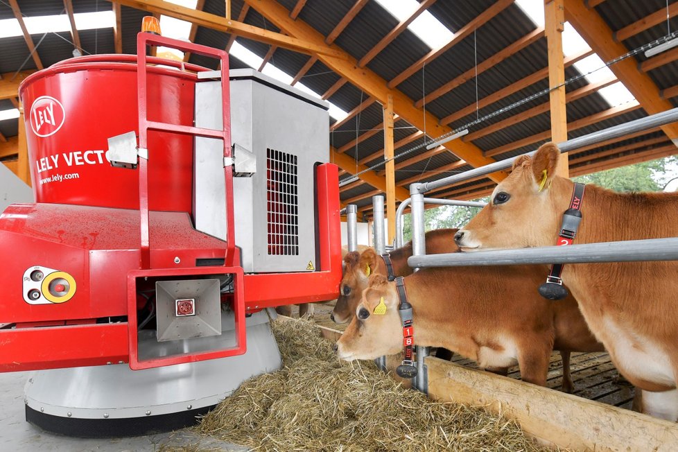 Na školním statku Horšov na Domažlicku mají nejmodernější kravín u nás. Krávy podojí i podrbe...