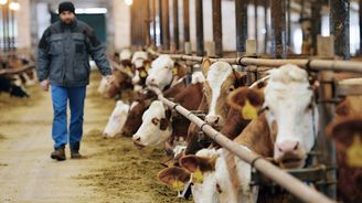 Levné mléko a máslo rozdělilo výrobce a řetězce, přou se o ztráty. Nízké ceny ale nemusí vydržet dlouho Levné mléko a máslo rozdělilo výrobce a řetězce, přou se o ztráty. Nízké ceny ale nemusí vydržet dlouho