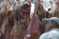 Dostalo se do Česka maso z nemocných krav? Toman mírní obavy z polských jatek