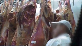 Podle polské televize vozí na jatka v Polsku na porážku nemocné krávy. Jejich maso se pak dostává běžně do obchodů. V Česku proto zpřísnily úřady kontroly