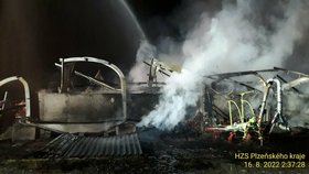 Při požáru uhořelo 70 krav: Na pomoc do Německa vyrazili i hasiči z Domažlicka