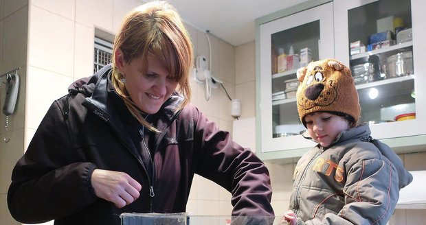 Plzeňští záchranáři hledají domov pro vyhozené křečky.
