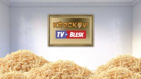 Křečkovi, reality show s hlodavci