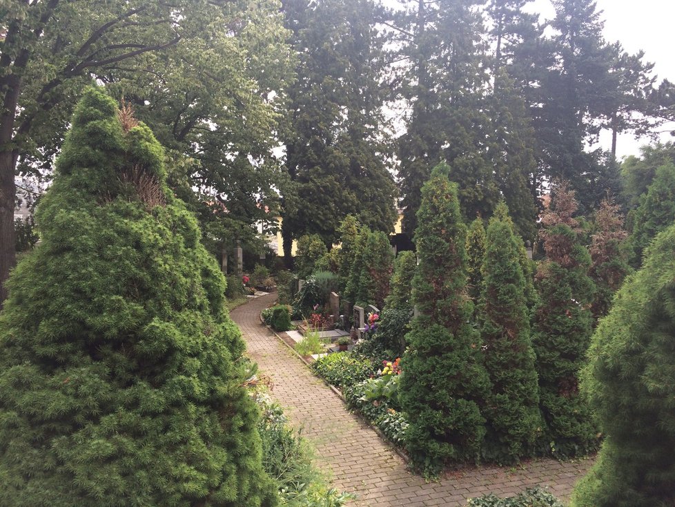 Krematorium Strašnice a jeho hřbitov