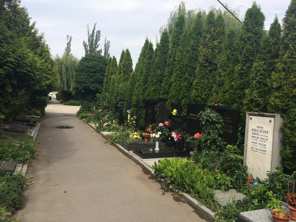 Krematorium Strašnice a jeho hřbitov.