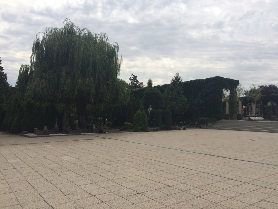 Krematorium Strašnice a jeho hřbitov