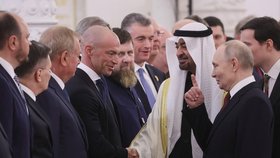 Alexandr Vinokurov byl součástí Putinovy delegace, která vítala vládce Spojených arabských emirátů (29. 1. 2026).