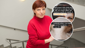 Kreslířka Klára Tellnerová alias Toy Box na sociální síti uvedla, že spisovatelka Alena Mornštajnová v nové knize čerpala z jejího příběhu.