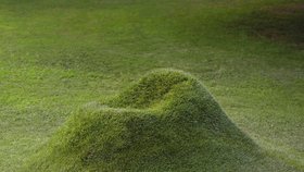 Zelené křeslo Terra! je pro milovníky přírody způsob, jak si na zahradě postavit místo odpočinku.