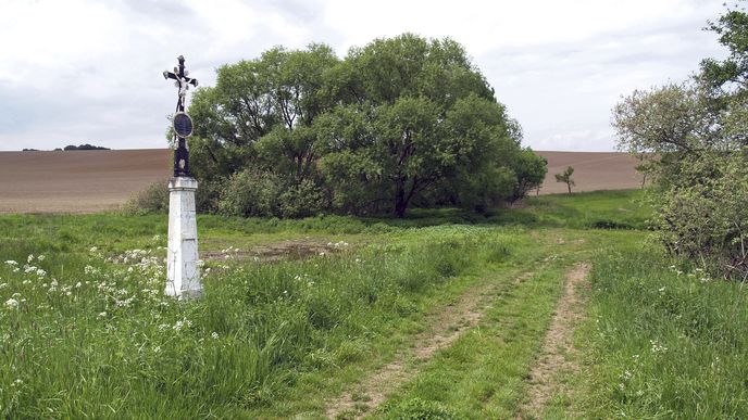 „Náhlá bouře se rozpoutala a Petříka usmrtila...“ Co mohli dělat zoufalí rodičové Roytovi? Sehnat kříž, kameníka, nápis...