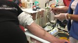Nová kampaň: Normální je darovat krev! Mladí lidé dávají jen málo a chtějí za to peníze