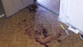 Pokus o brutální vraždu v Hradci Králové: Oběť pobodání přežila jen zázrakem (ilustrační foto)
