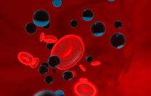 Nebezpečný objev vědců: V lidské krvi POPRVÉ odhalili mikroplasty!