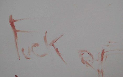 Do krve sedřenými klouby napsala žena policistům na zeď vzkaz.