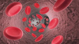 Speciální nanočástice mají potenciál zachraňovat životy lidí s vnitřním krvácením