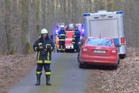Na Zlínsku na muže spadl strom: Vrtulníkem ho transportovali do nemocnice