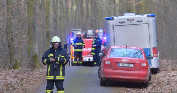 Na Zlínsku na muže spadl strom: Vrtulníkem ho transportovali do nemocnice