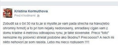 Tento status na Facebooku ji stál místo.