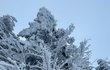 Kouzelný zimní výlet Kristýny Plíškové a Dávida Hancka