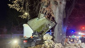 Náraz do kapličky v Křižanově, který je částí města Hrob, řidič audi nepřežil.