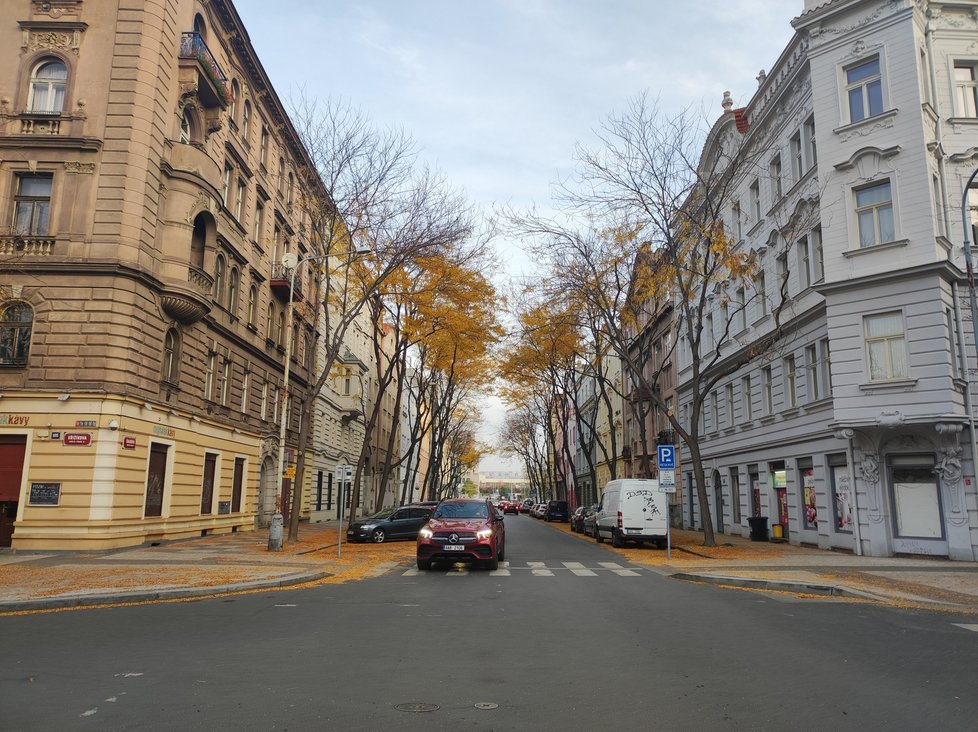 Jedno z nejlepších míst pro podzimní fotku v Praze je křižovatka ulic Křižíkova a Šaldova.