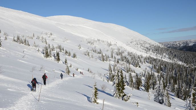 Krkonoše