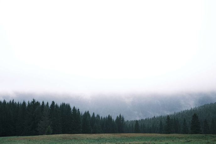 Výhled z okolí Medvědí boudy, kterou vlastní majitel hokejové Sparty Karel Pražák. Výhled z okolí Medvědí boudy, kterou vlastní majitel hokejové Sparty Karel Pražák.