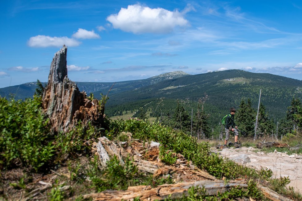 Turisté na rekreaci v Krkonoších (1. 8. 2021)