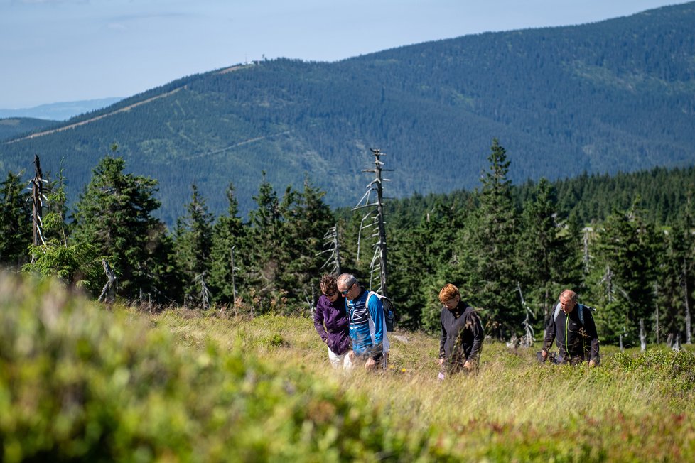 Turisté na rekreaci v Krkonoších (1. 8. 2021)