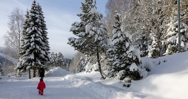 Zasněžené Krkonoše (4. 12. 2023)