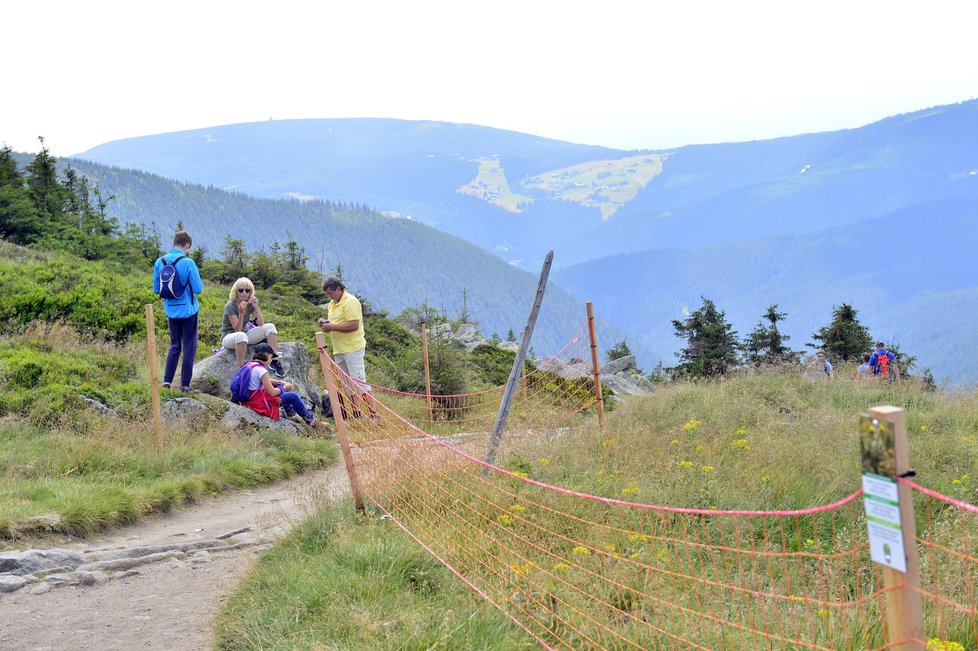 Turisté na Sněžce v Krkonoších