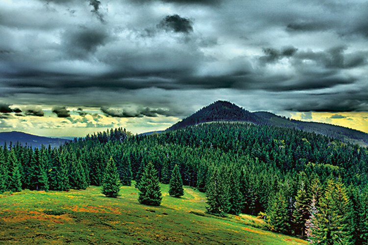 Krkonoše byly na konci středověku odlesněny