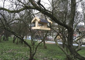 Lidé pořizují ptákům krmítka na veřejných místech a doplňují i cizí.