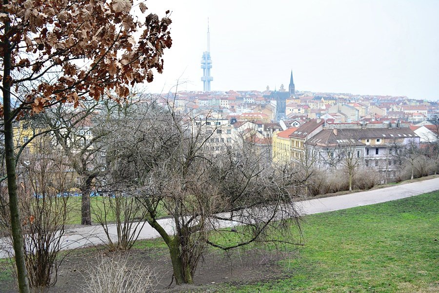 Vítkov je plný krmítek pro ptáčky. Žižkované se vzájemné vybízí ke krmení