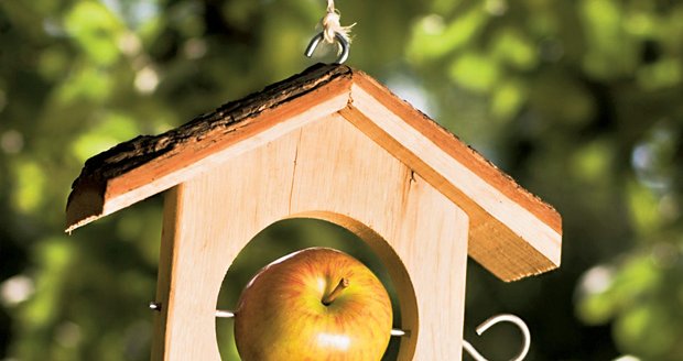Jablka na roštu. Ptákům chutná také čerstvé ovoce, na stromě nechte pár jablíček nebo jim je vložte do závěsného domečku.
