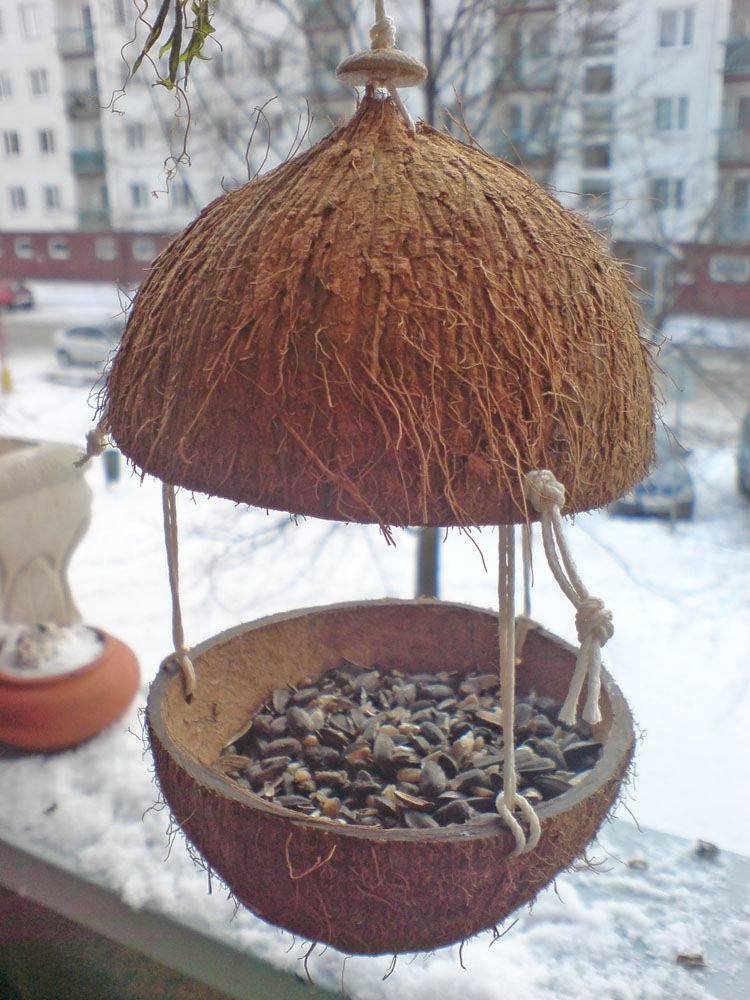 K výrobě tohoto krmítka stačí podle Vlasty Hlubučkové jen kokosová skořápka a trocha trpělivosti.