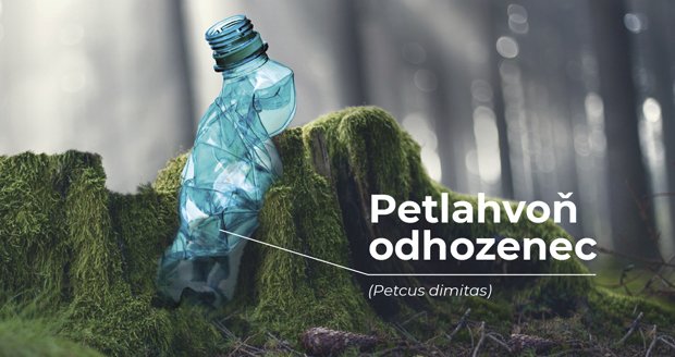 Lidé vyhazují v přírodě i PET lahve.