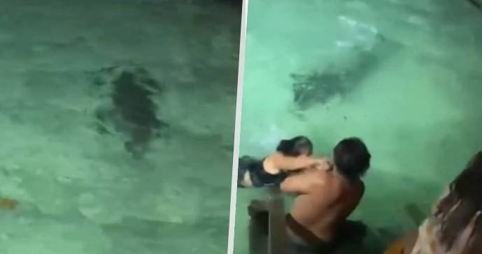 Turistky v Belize se skoro staly večeří krokodýla