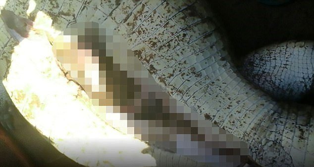 Vesničané v Zimbabwe našli uvnitř krokodýla ostatky pohřešovaného dítěte (†8).