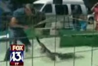 Drama na Floridě: Krokodýl napadl svého krotitele!