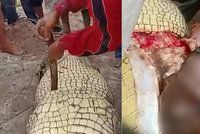 Čtyřmetrový krokodýl sežral rybáře (†55): Když plaza rozřízli, uvnitř našli jeho tělesné části