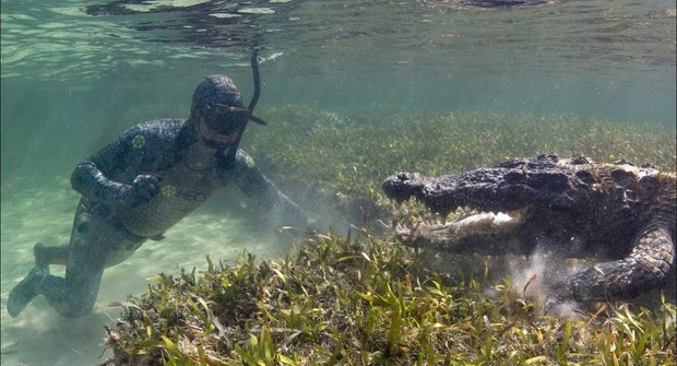 Krokodýl mořský: Hra se smrtí