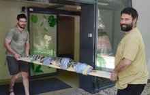 Jihlavská zoo má nového obyvatele: Jak se vozí krokodýli